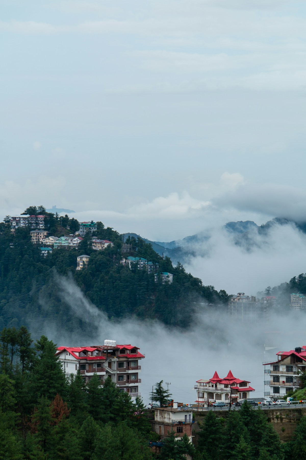 Shimla